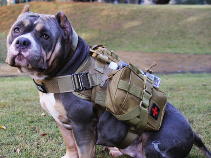 Harnais Tactique pour Chien