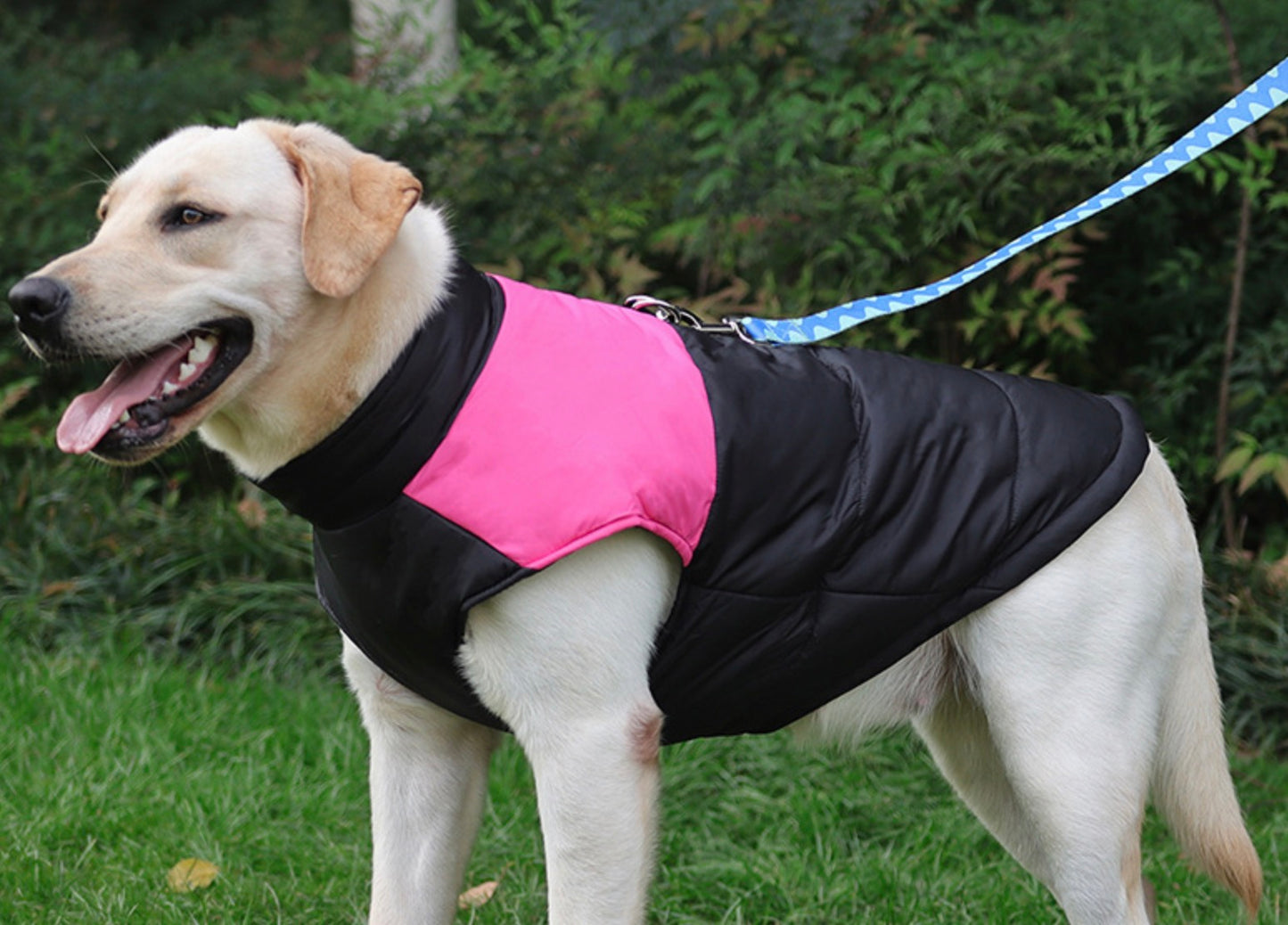 Manteau d’Hiver Chaud pour Chien – Pullover Matelassé Confort & Protection