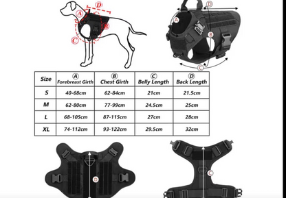 Harnais tactique d’entraînement – Kit complet 5 pièces