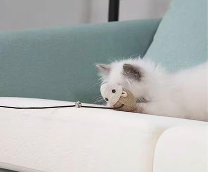 Canne à pêche pour chat – Jouet interactif naturel