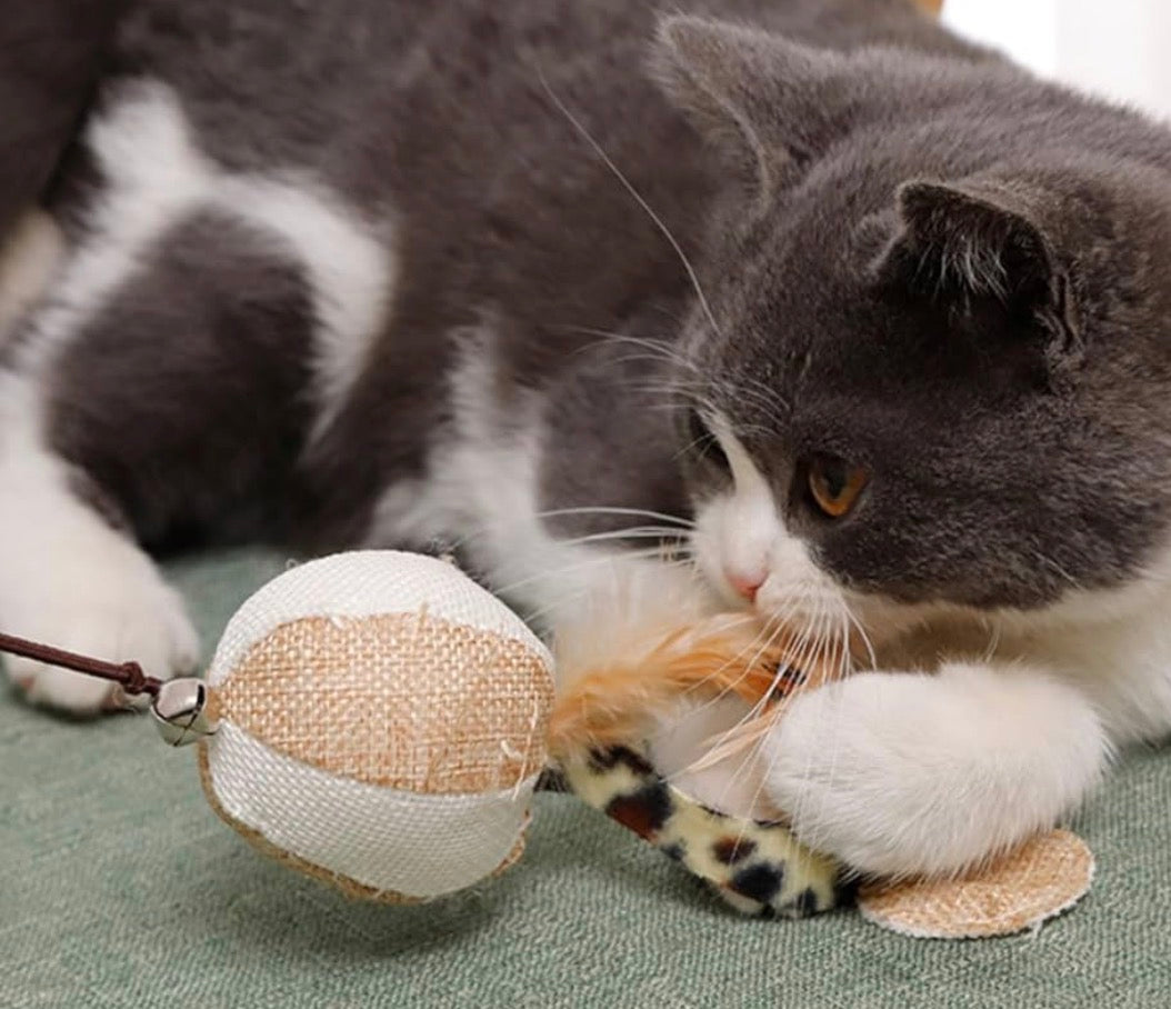 Canne à pêche pour chat – Jouet interactif naturel