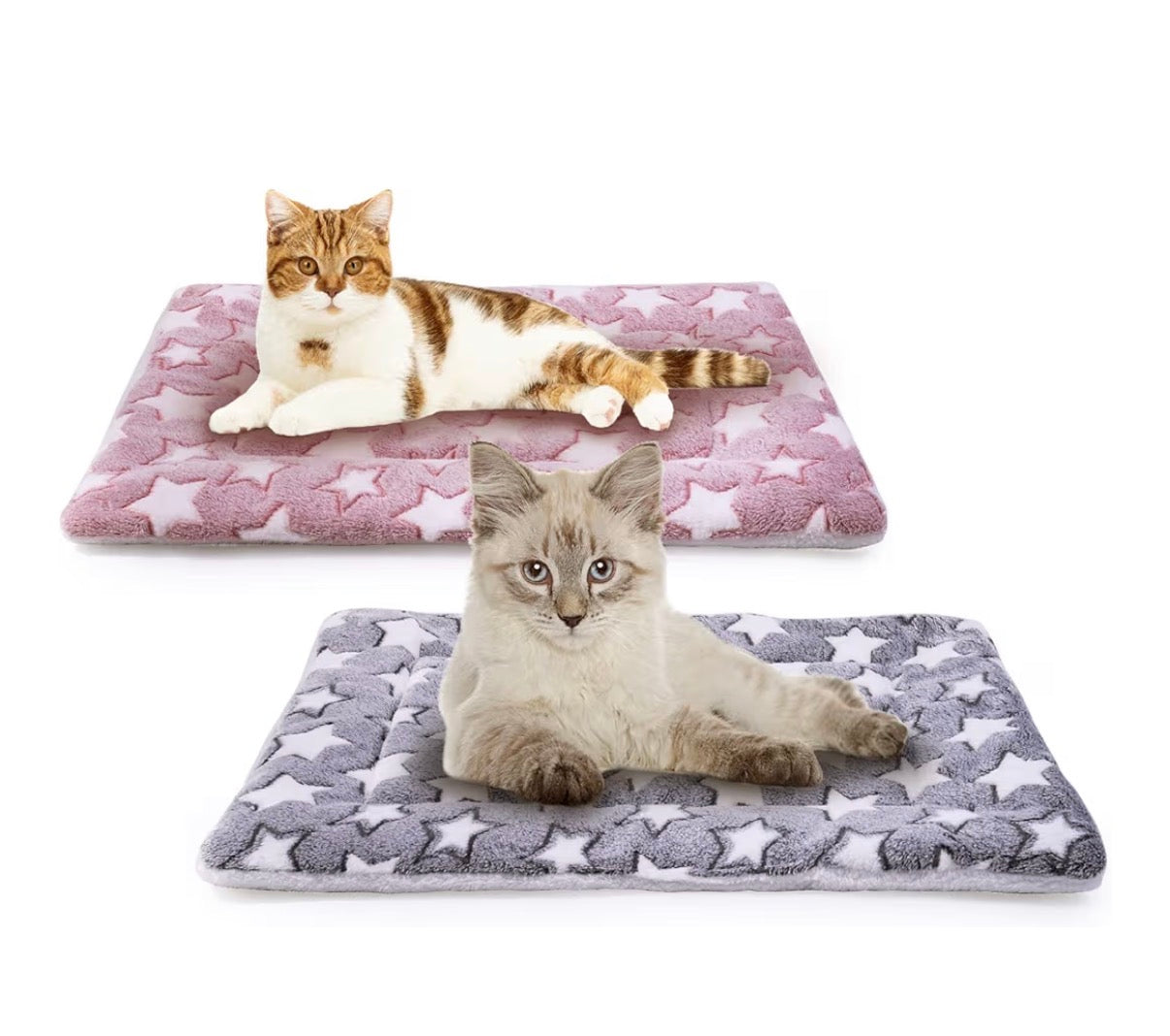 Tapis Douillet Automne & Hiver