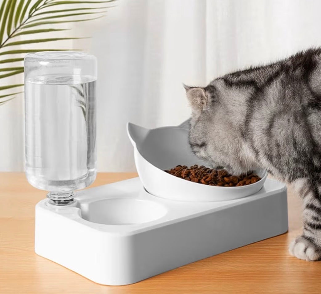 Gamelle surélevée avec distributeur d’eau automatique