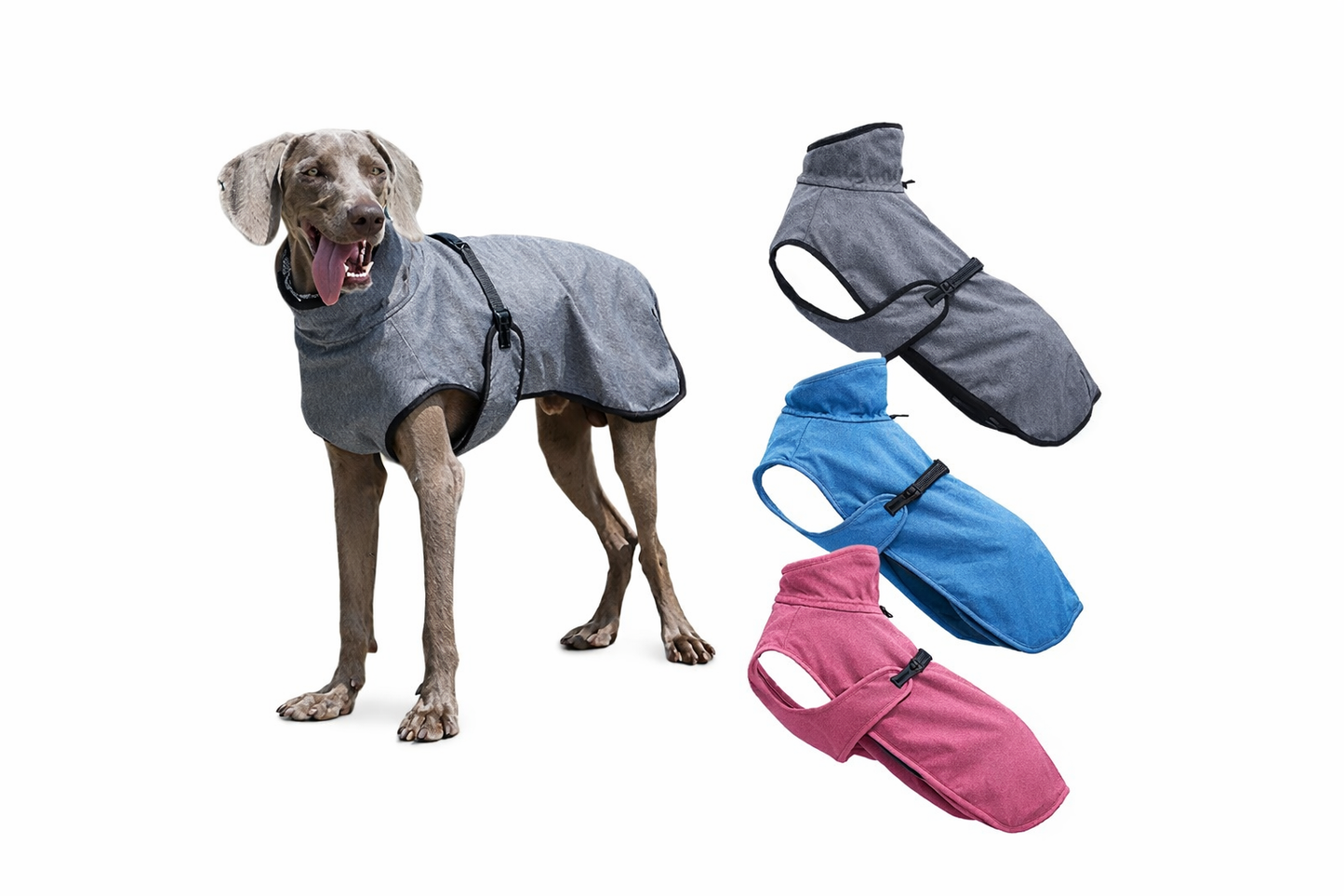 Manteau Chien Imperméable & Chaud