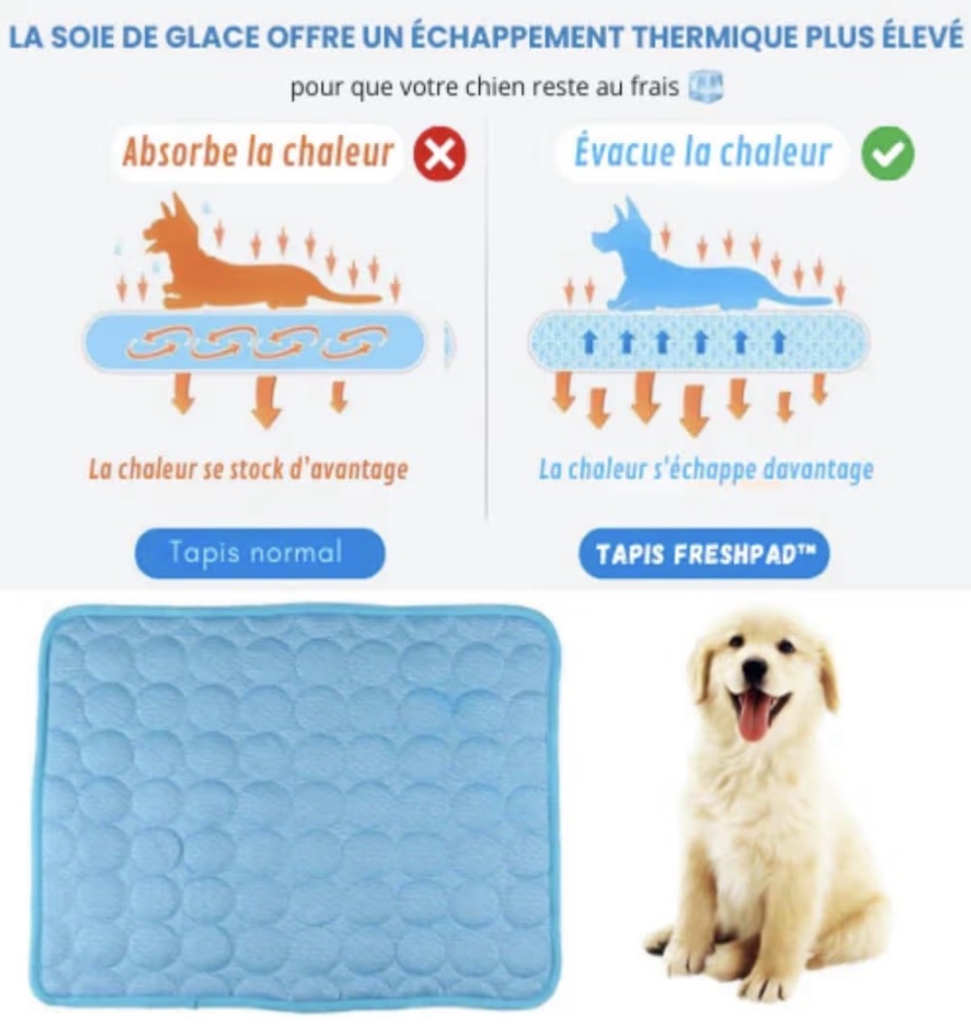 Tapis Rafraîchissant pour Chien & Chat