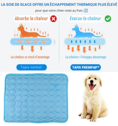 Tapis Rafraîchissant pour Chien & Chat