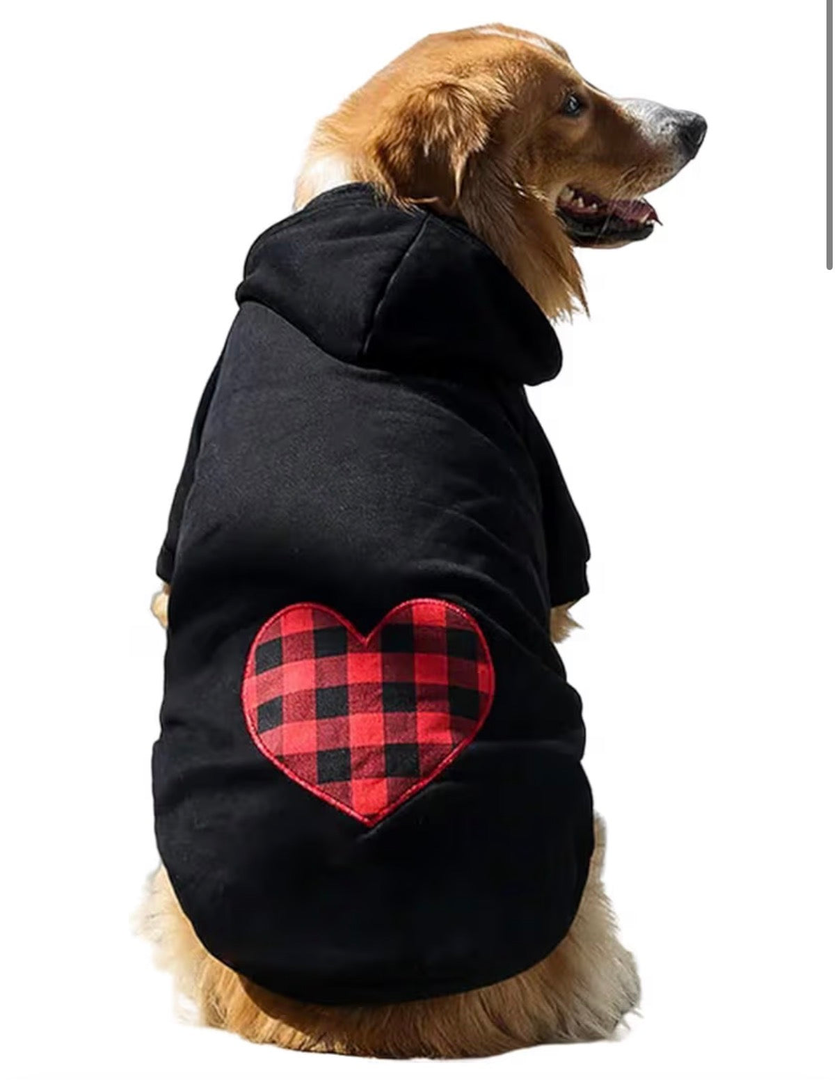 Pull Chien Hiver – Motif Cœur à Carreaux