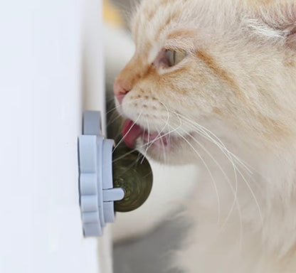 Balles d’herbe à chat  – Jouet dentaire rotatif 360°