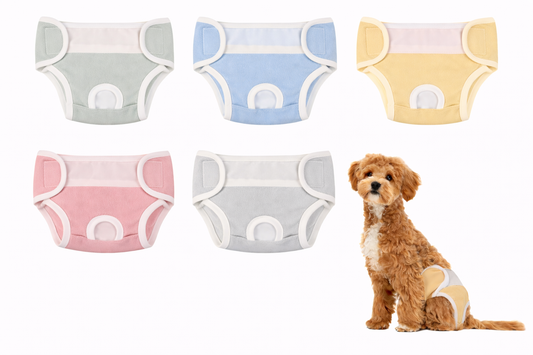 Culotte de Protection Confort