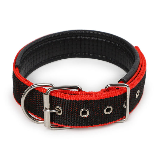 Collier pour chien – Résistant & confortable