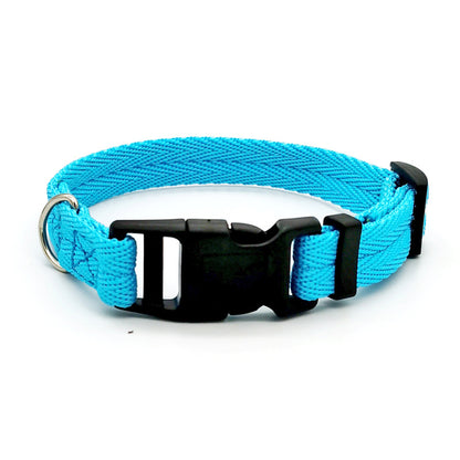 Collier pour Chien Uni – Confort & Simplicité au Quotidien