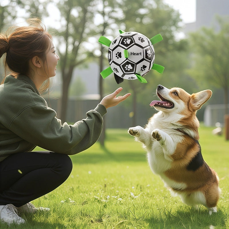 Balle Interactive pour Chien – Lancer & Jeu Actif