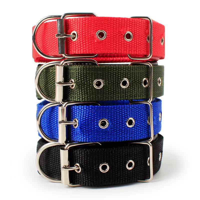 Collier pour chien – Résistant & confortable