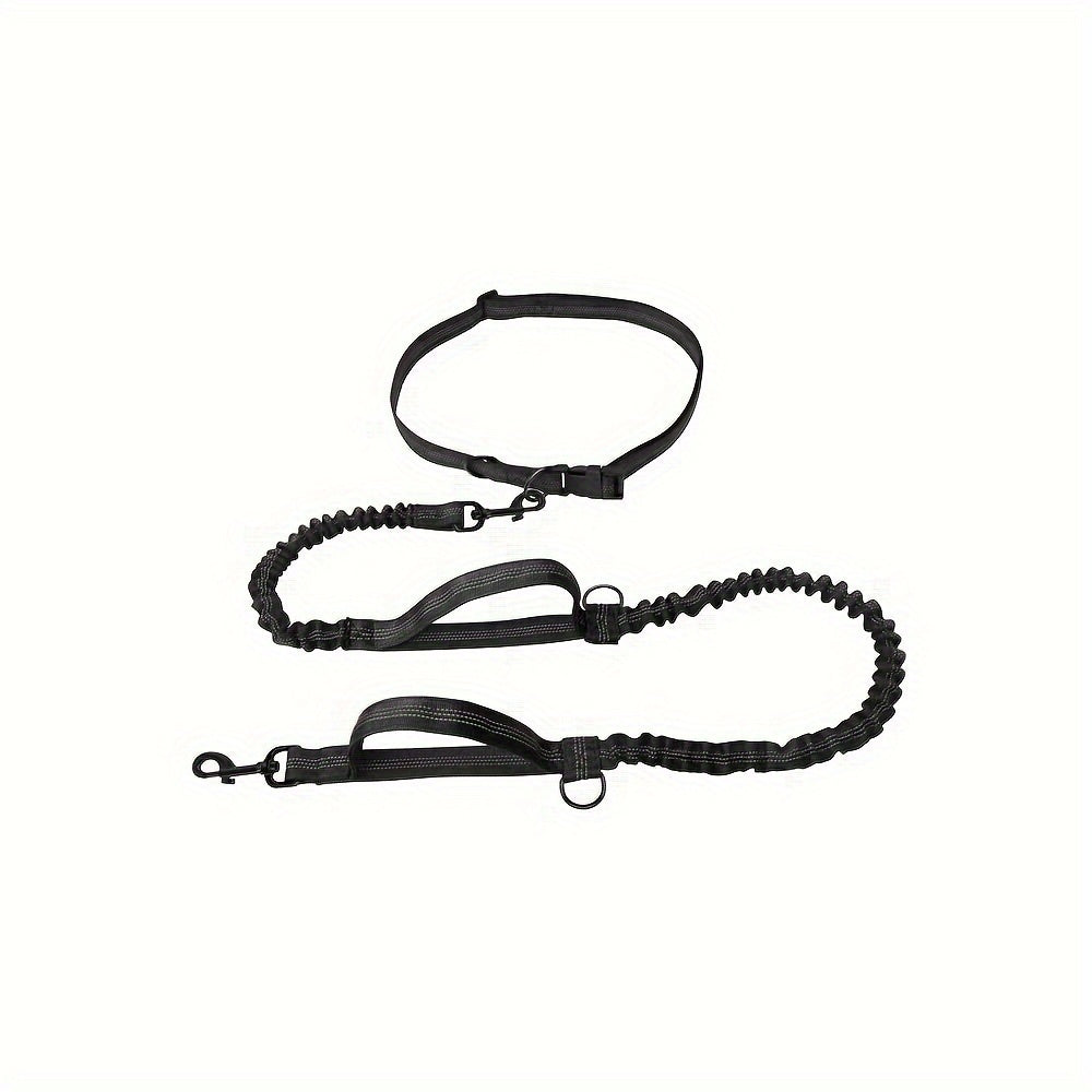 Laisse + collier mains libres pour chien – Running & promenade