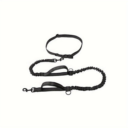 Laisse + collier mains libres pour chien – Running & promenade