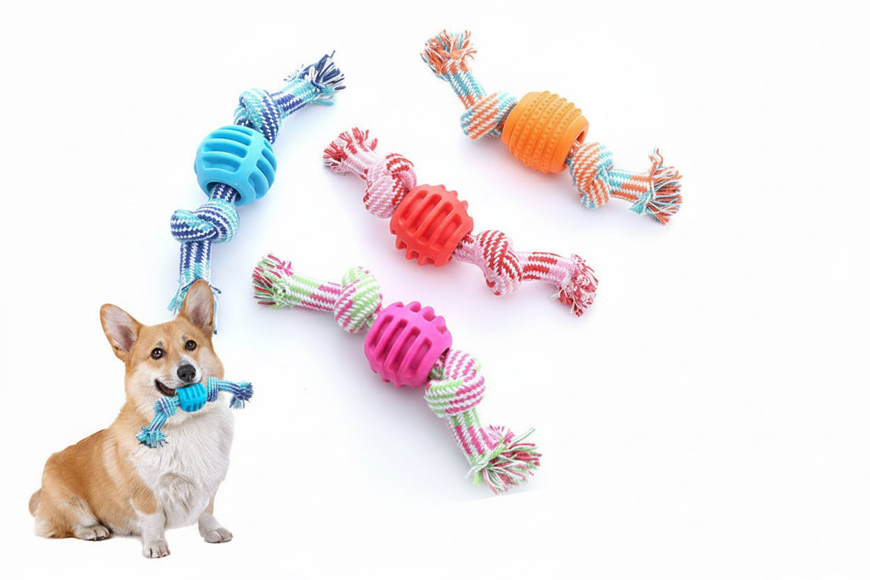 Jouet pour chien – Corde à double nœud avec balle nettoyante
