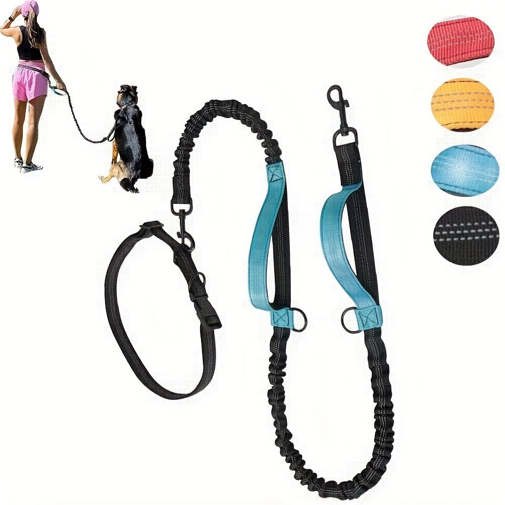 Laisse + collier mains libres pour chien – Running & promenade