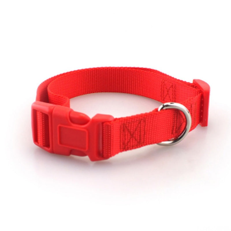 Collier pour chien en nylon