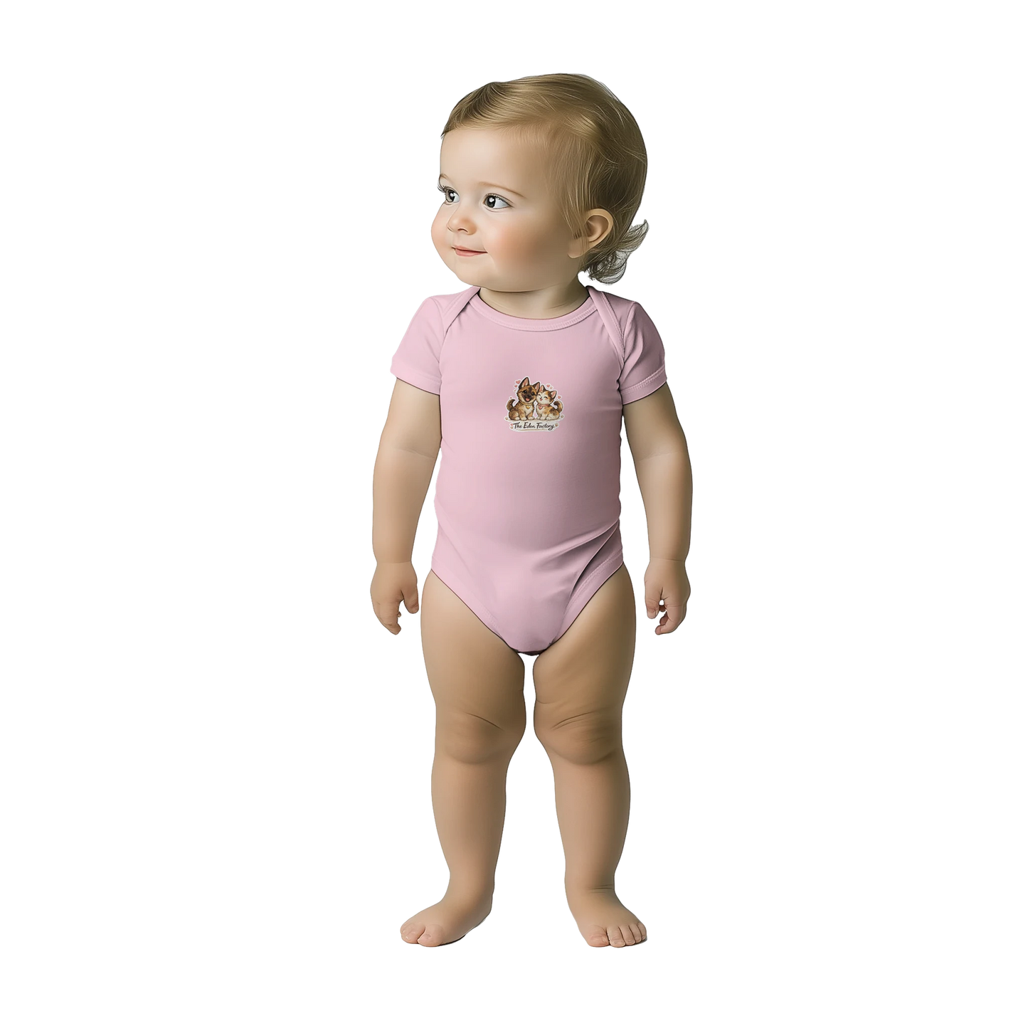 c0840e25-7b64-4dc4-ac9e-41791f7ac628