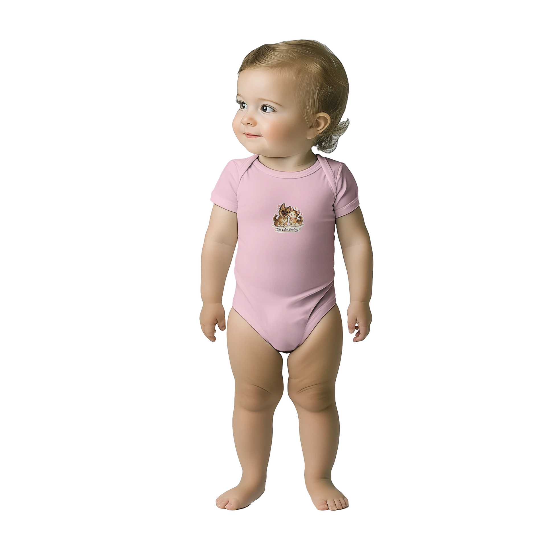 c0840e25-7b64-4dc4-ac9e-41791f7ac628