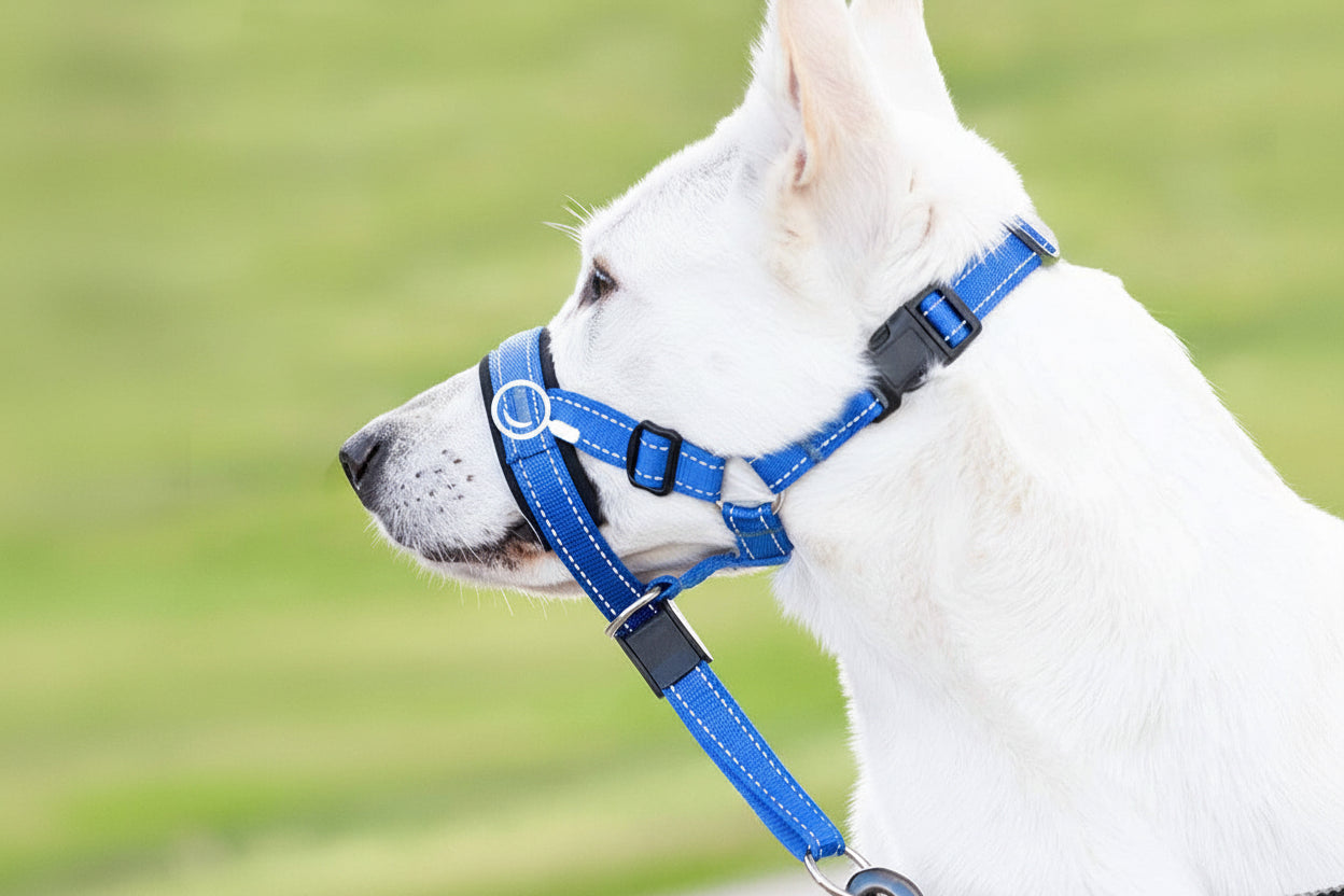 Pet Supplies Pet Muzzle Nylon Dog Muzzle Rope