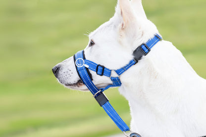 Pet Supplies Pet Muzzle Nylon Dog Muzzle Rope