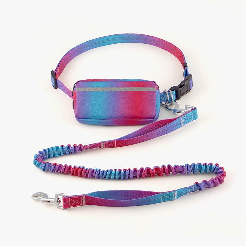 Laisse mains libres pour chien – Marche & running