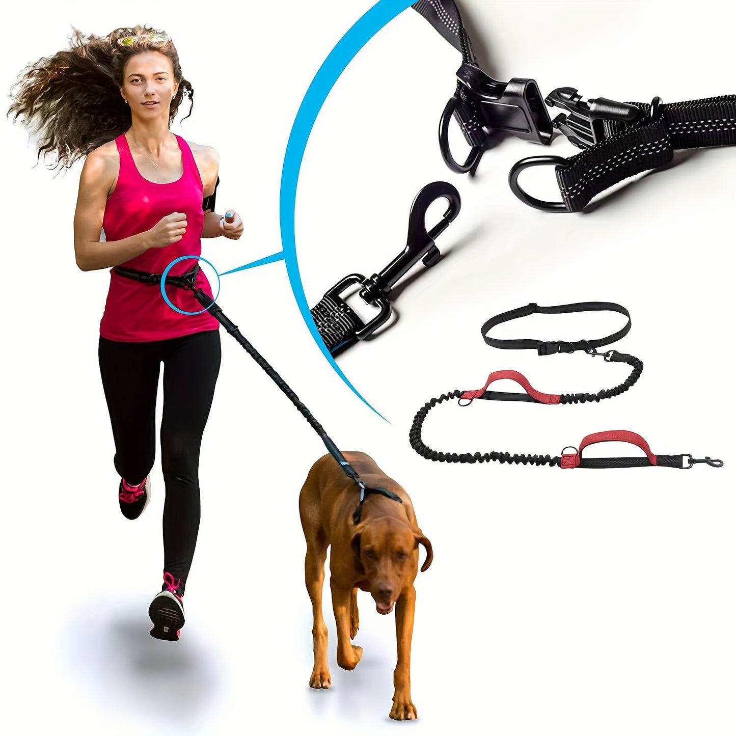 Laisse + collier mains libres pour chien – Running & promenade