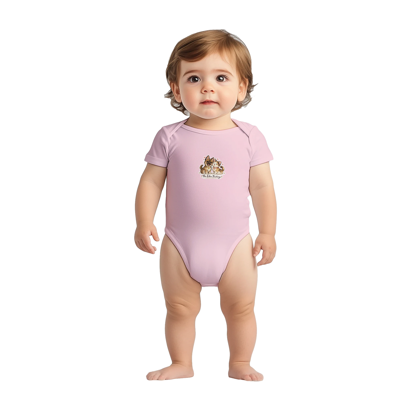 d4e9617d-533a-4d8d-922c-554cc3b889e0