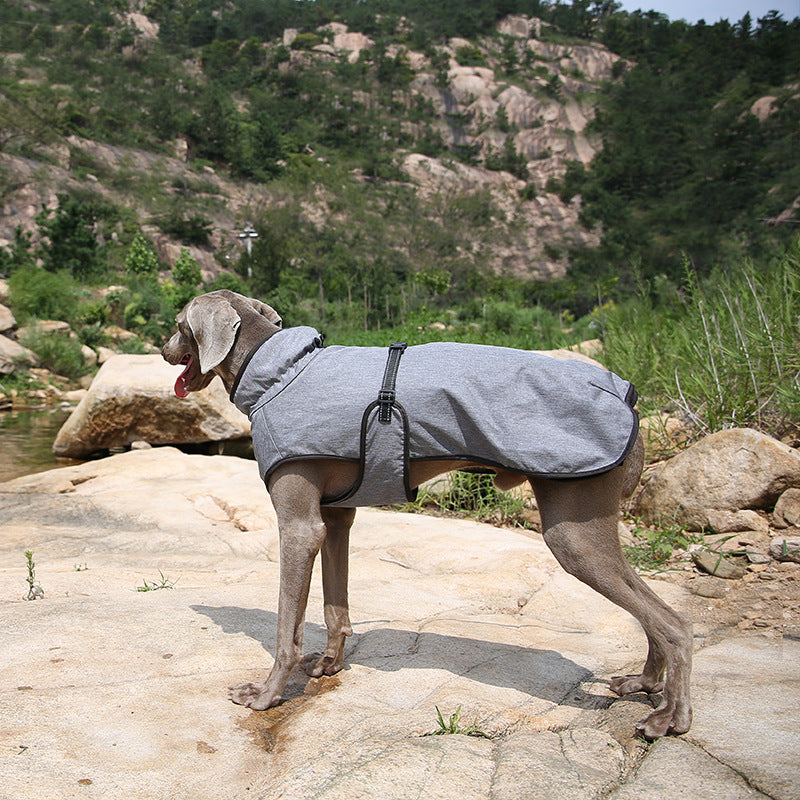 Manteau Chien Imperméable & Chaud