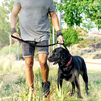 Laisse de Sécurité Renforcée