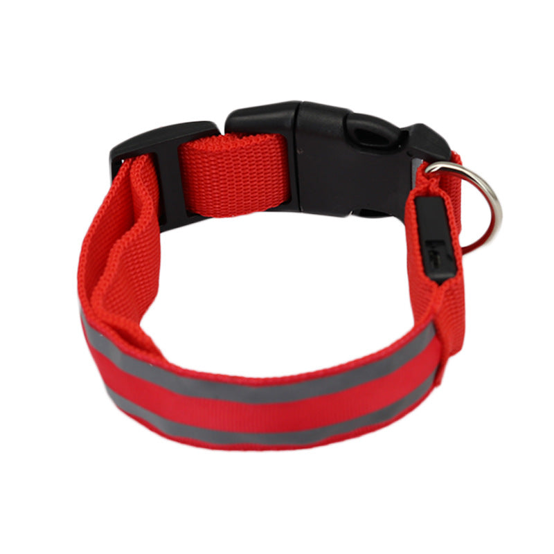 Collier LED Lumineux Anti-Perte pour Chien