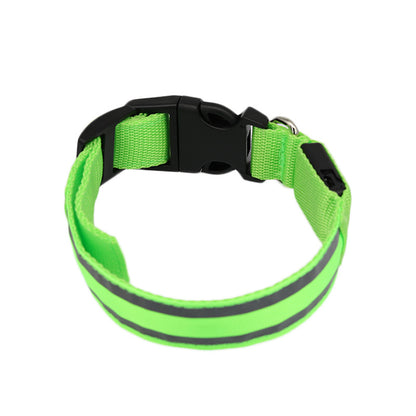 Collier LED Lumineux Anti-Perte pour Chien