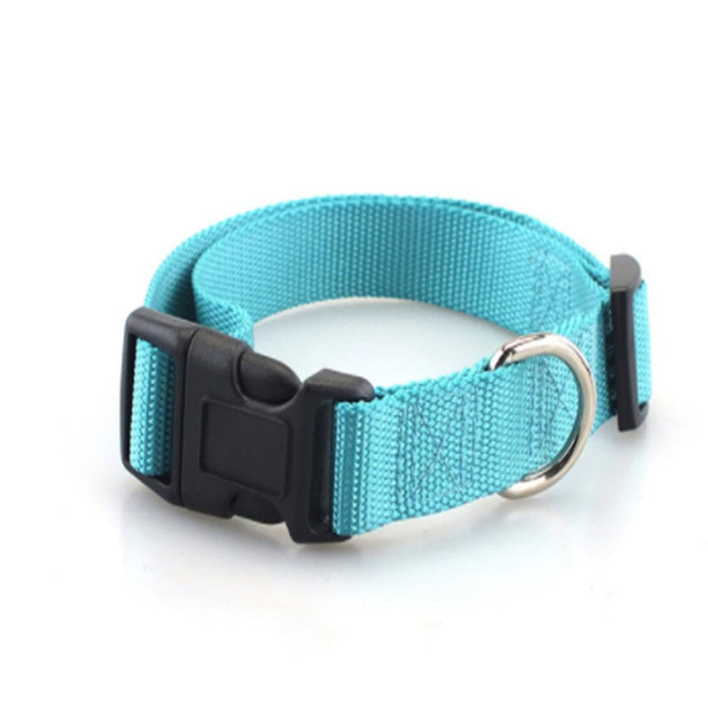 Collier pour chien en nylon
