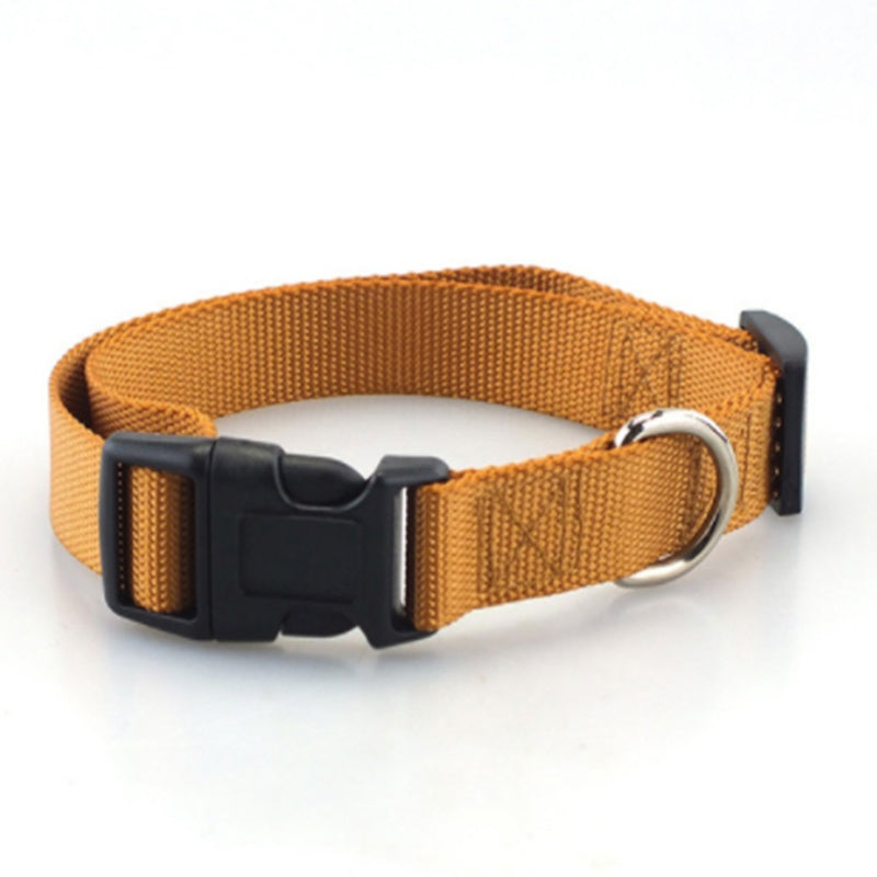 Collier pour chien en nylon