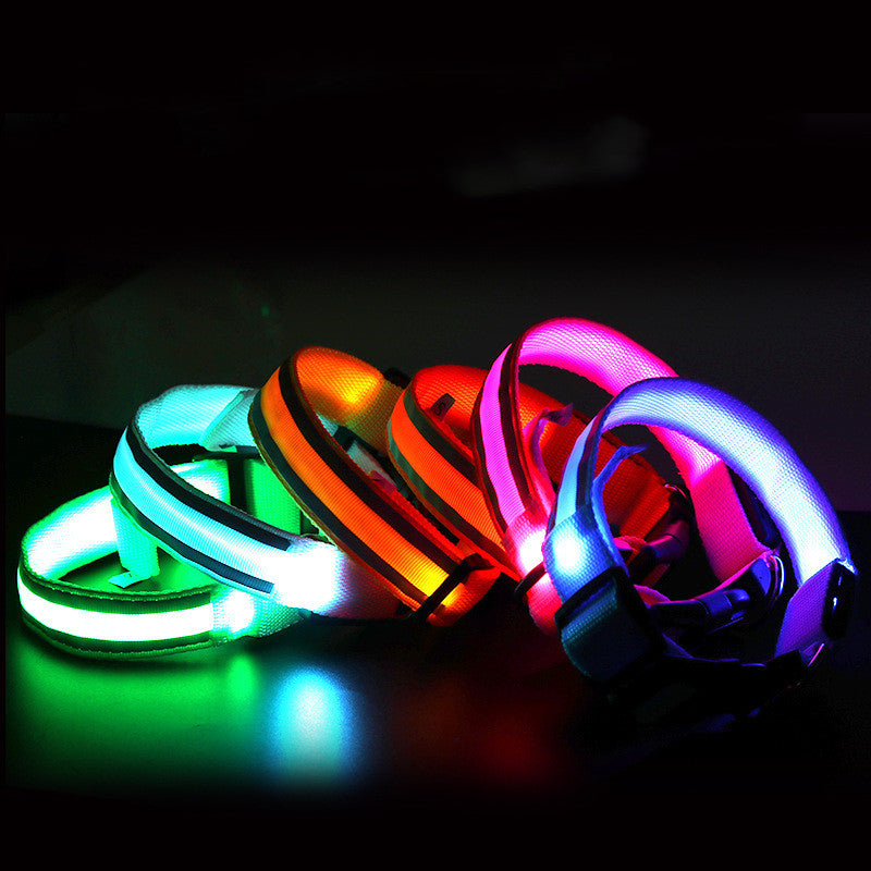Collier LED Lumineux Anti-Perte pour Chien