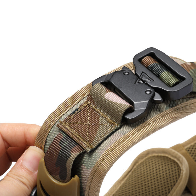 Collier tactique pour chien – Boucle métal à dégagement rapide