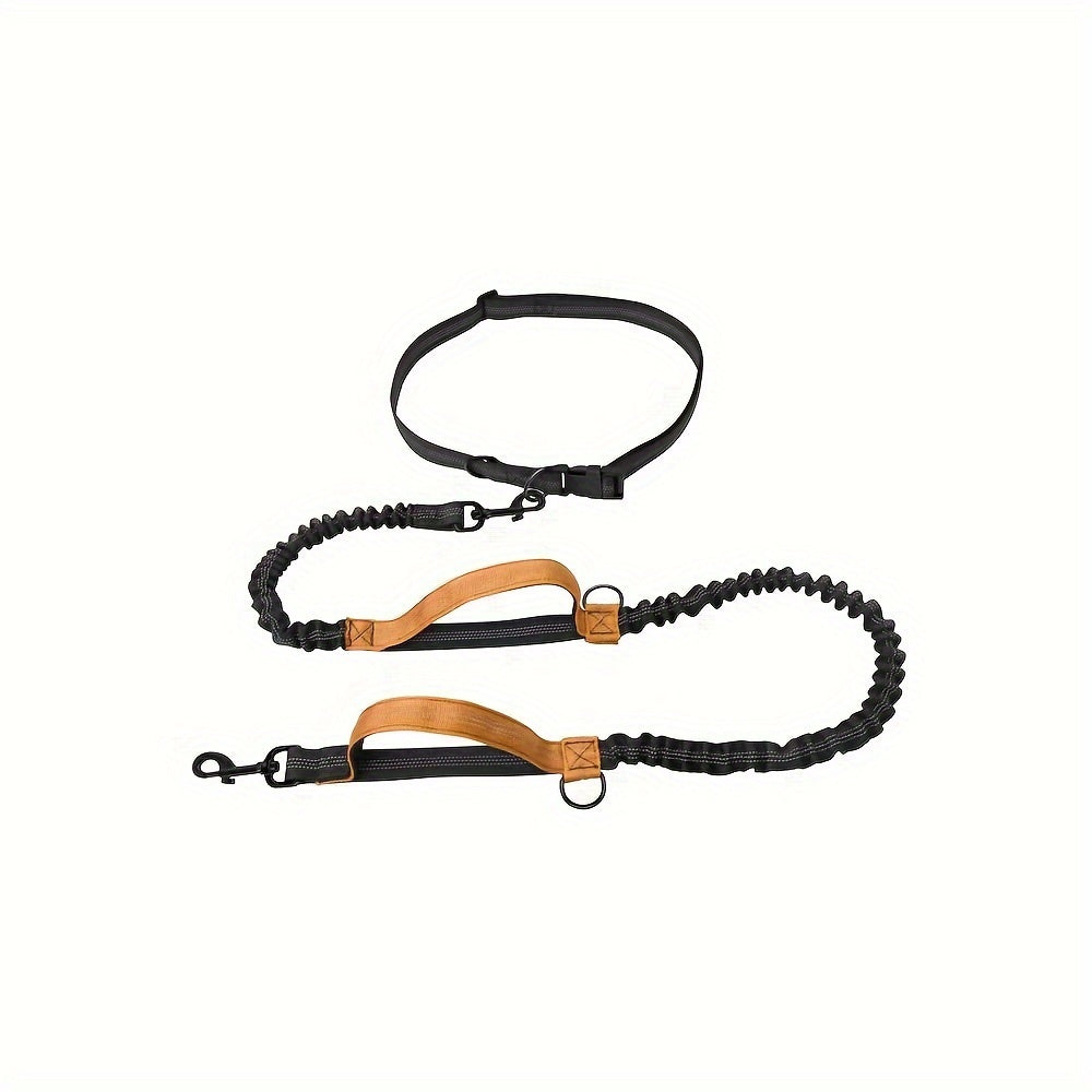 Laisse + collier mains libres pour chien – Running & promenade