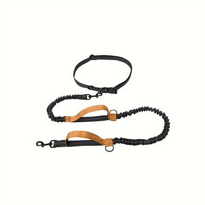Laisse + collier mains libres pour chien – Running & promenade